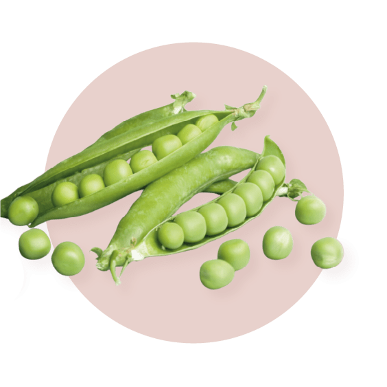 Hydrolyzed Pea Protein is a key ingredient of NUKD cream.