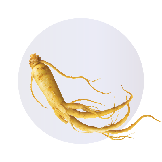 Panax Ginseng Root Extract is one of the key ingredients of Ruvine Lash Essence.